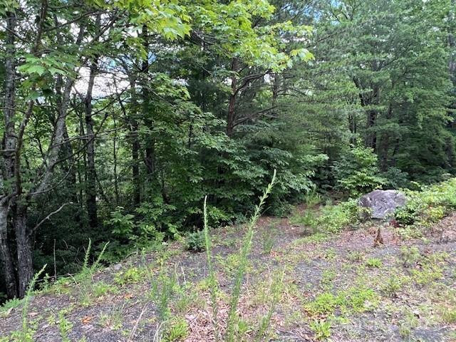 Lot 35A Oakwood Drive #35A - Photo 3