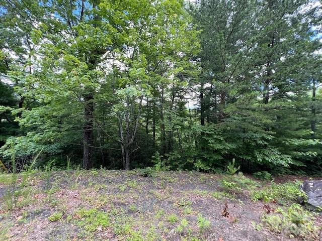 Lot 35A Oakwood Drive #35A - Photo 5