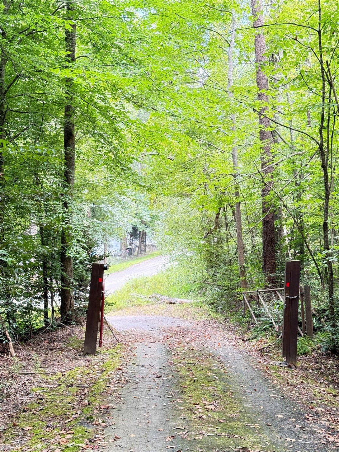 3430 & 3390 Rose Creek Road - Photo 48