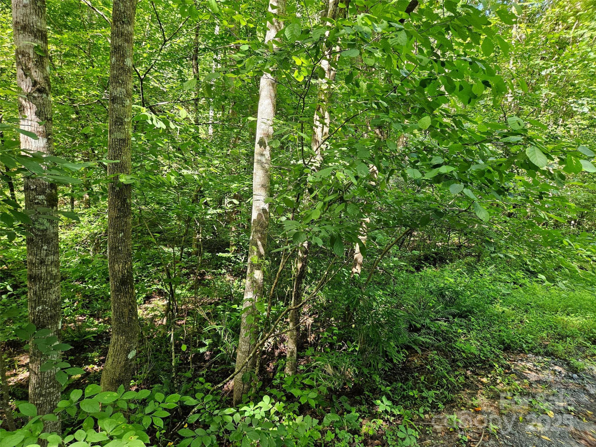 0 Sandpiper Avenue #163 - Photo 2