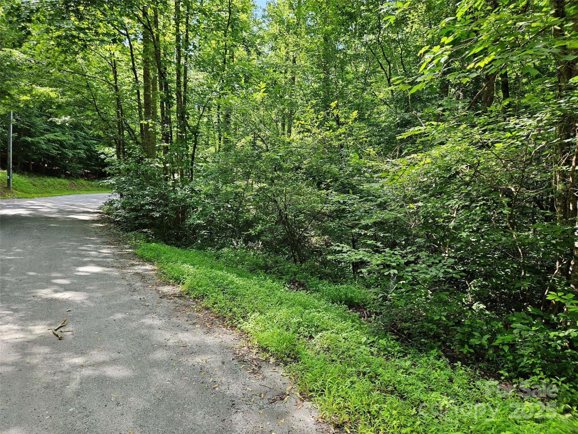 0 Sandpiper Avenue #163 - Photo 12