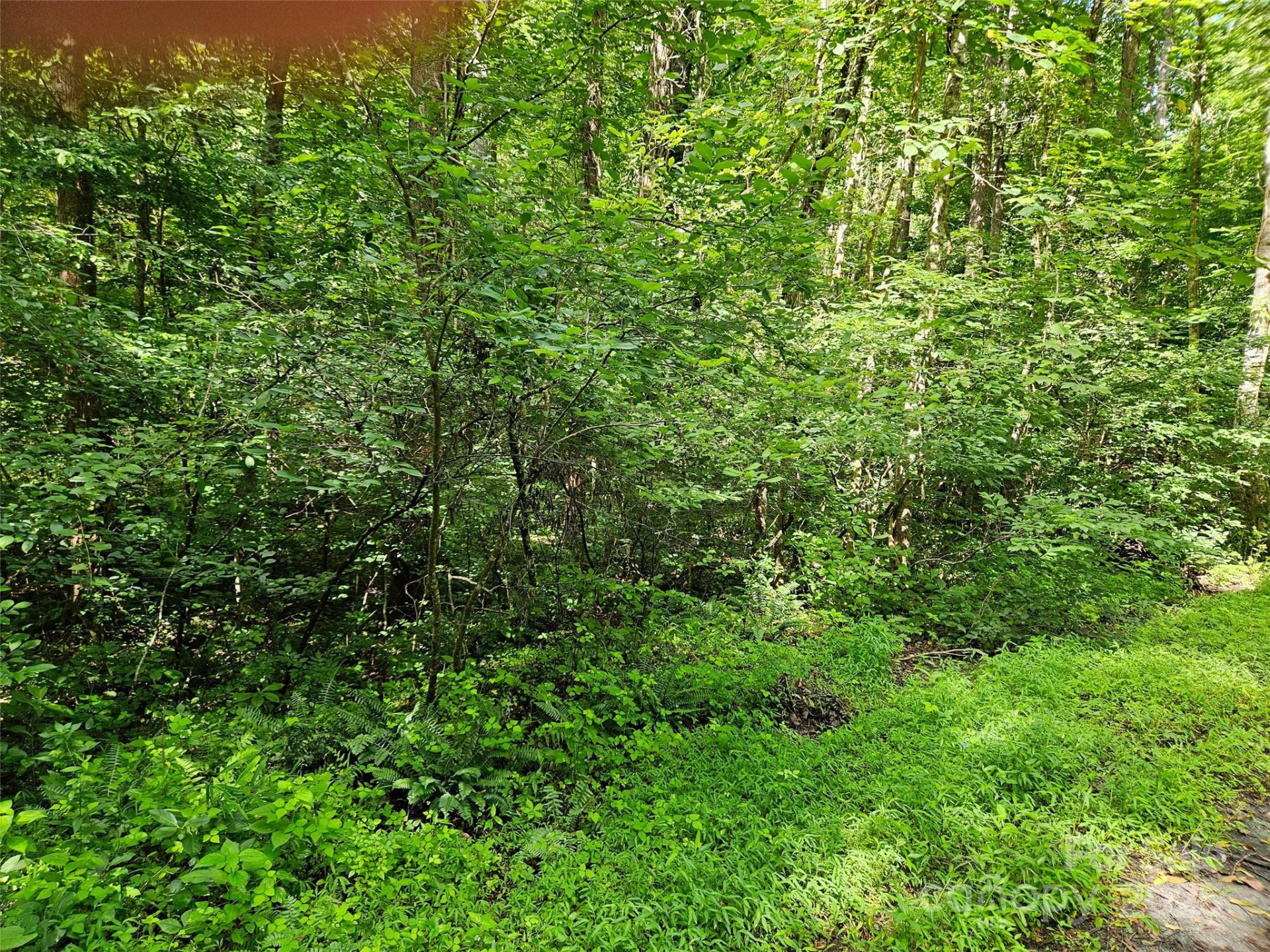 0 Sandpiper Avenue #163 - Photo 3