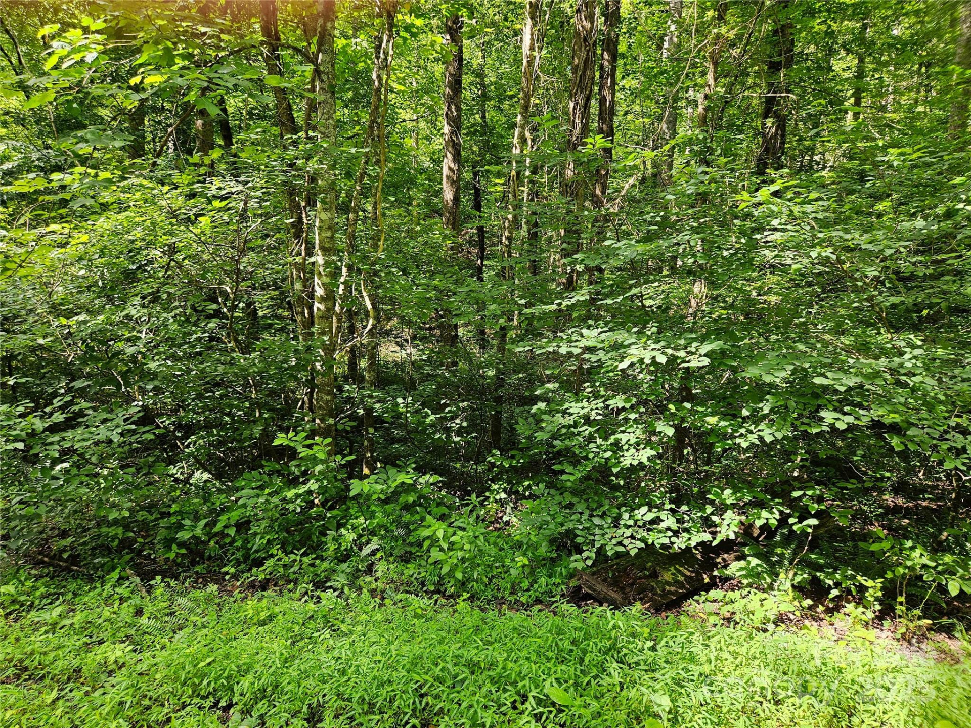 0 Sandpiper Avenue #163 - Photo 4