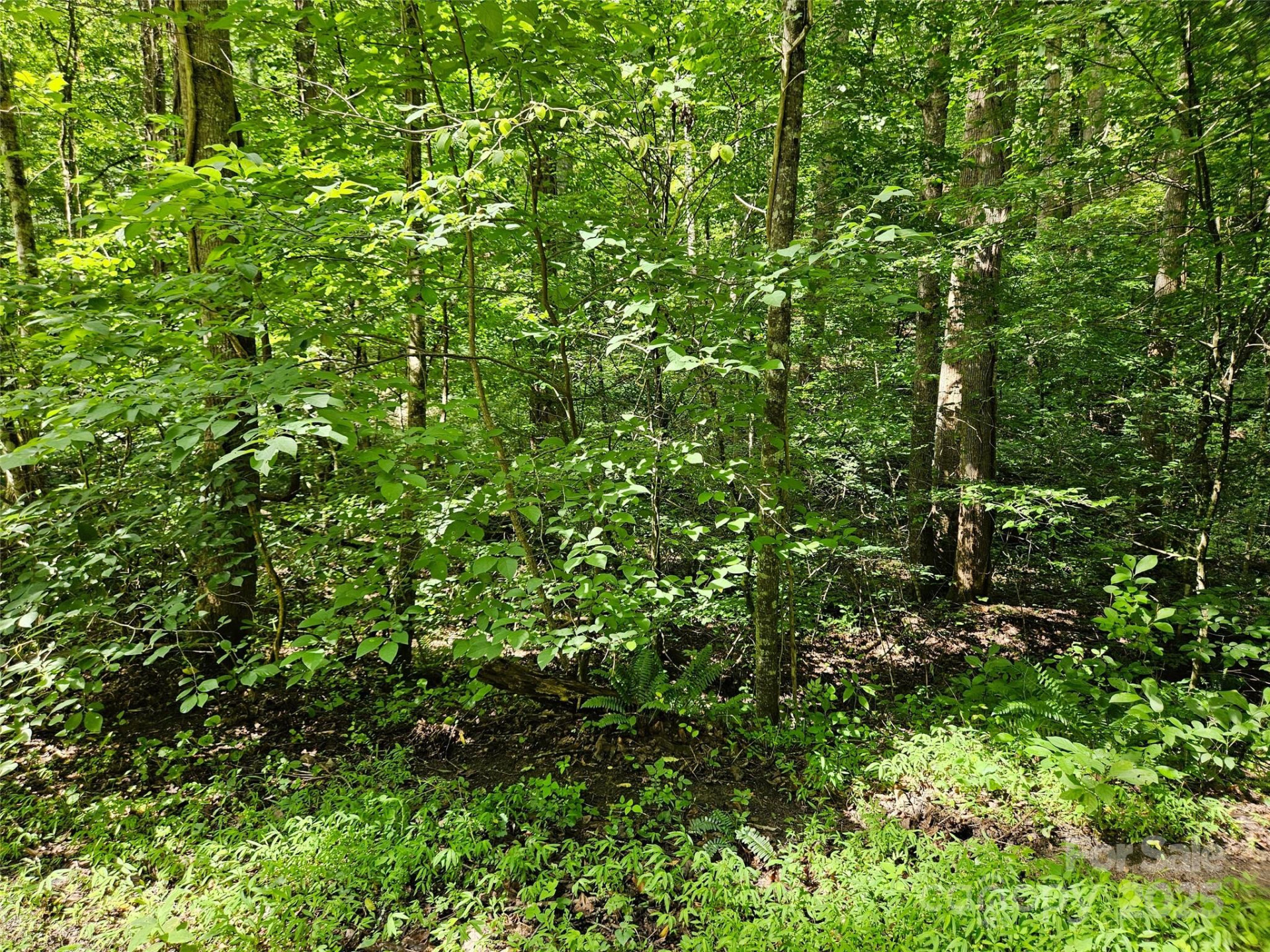 0 Sandpiper Avenue #163 - Photo 6