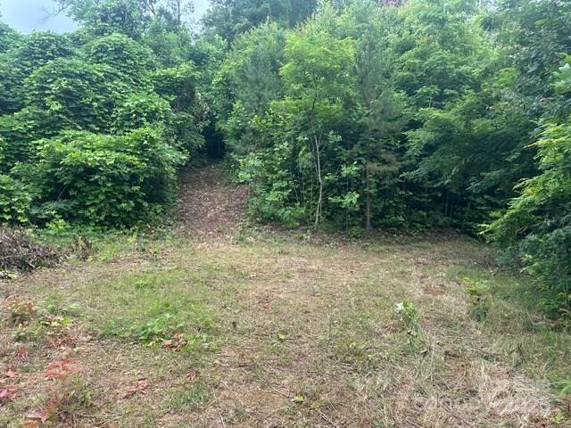 0 Cope Creek Road - Photo 2