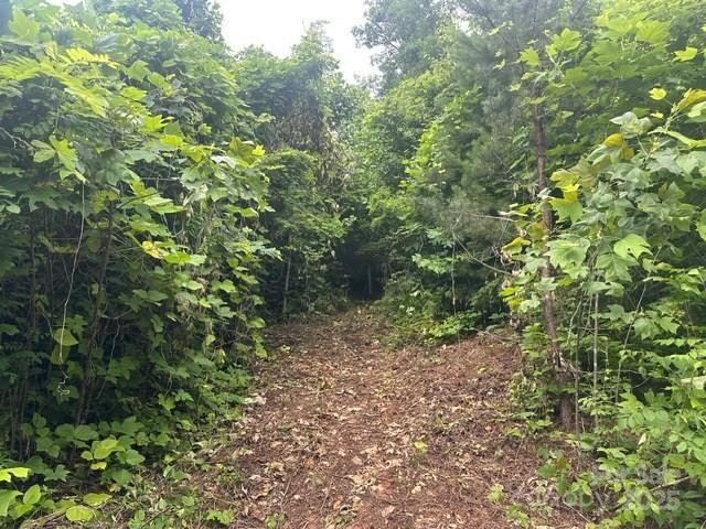 0 Cope Creek Road - Photo 3