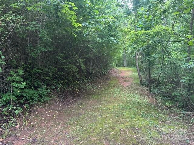 0 Cope Creek Road - Photo 4