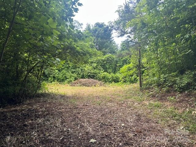 0 Cope Creek Road - Photo 5