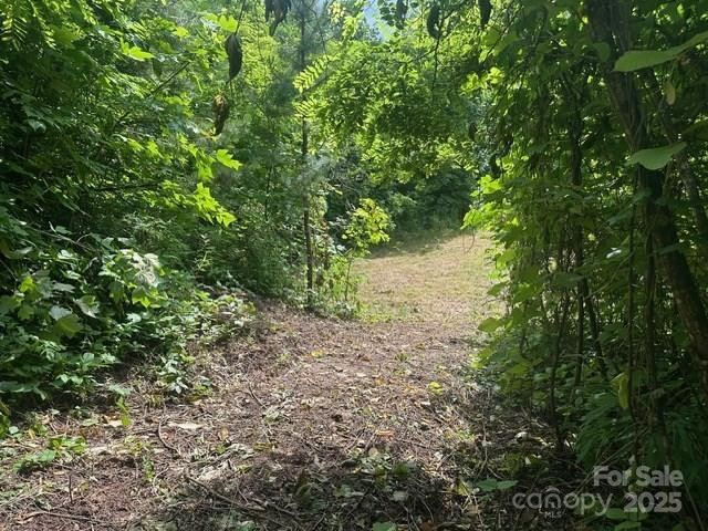 0 Cope Creek Road - Photo 8