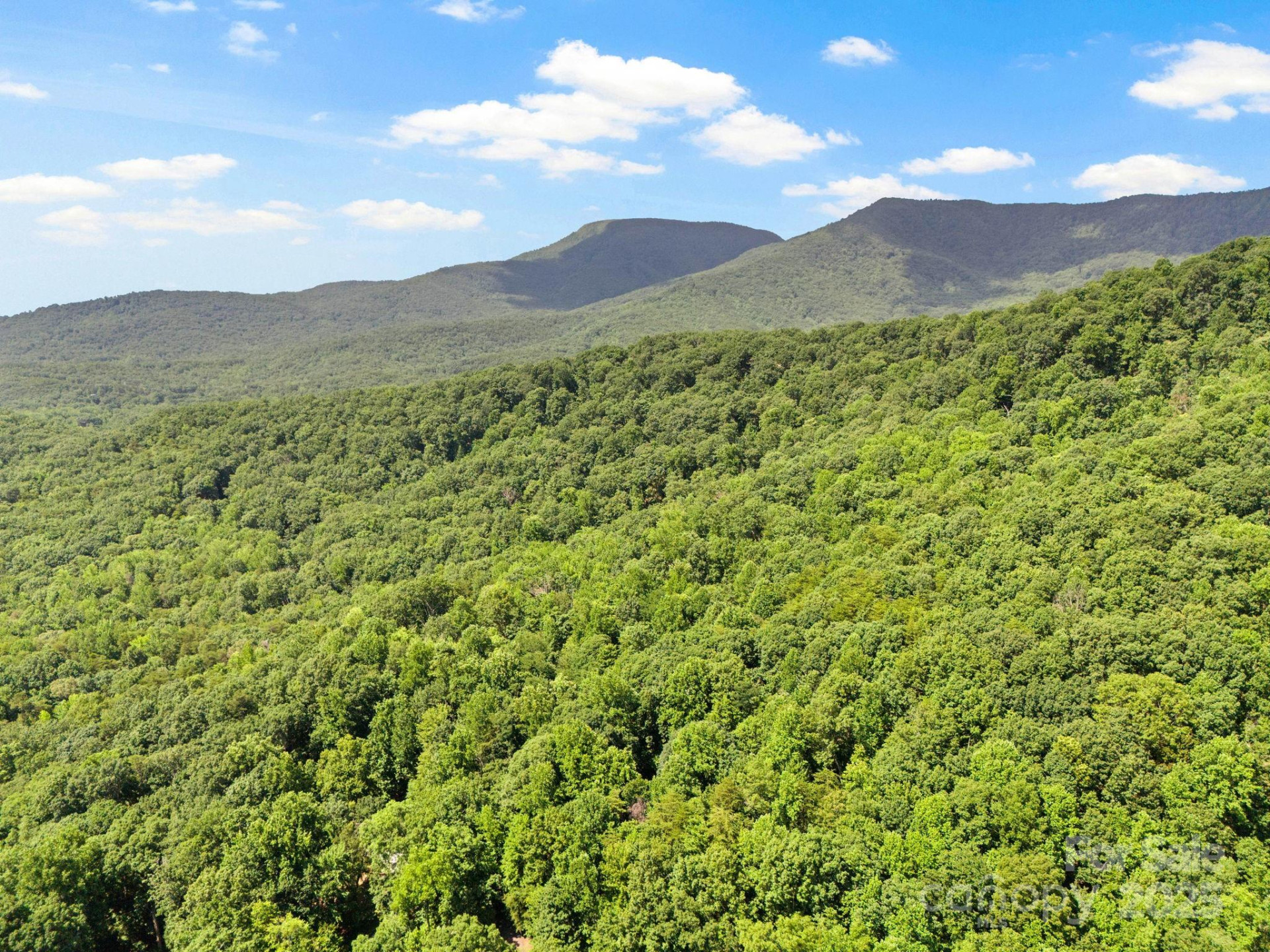 56 Cardinal Circle - Photo 34