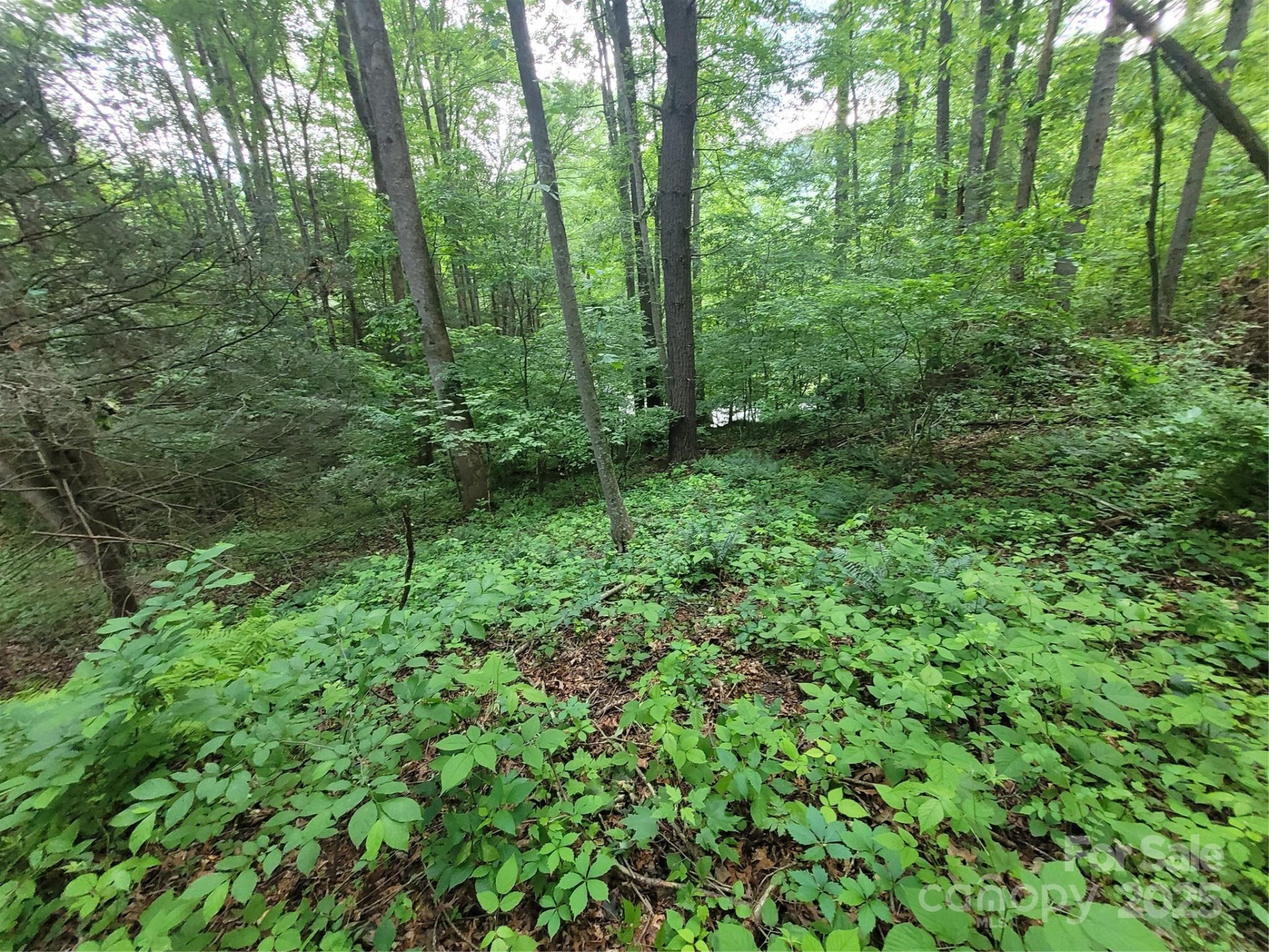 00 Serendipity Lane #111