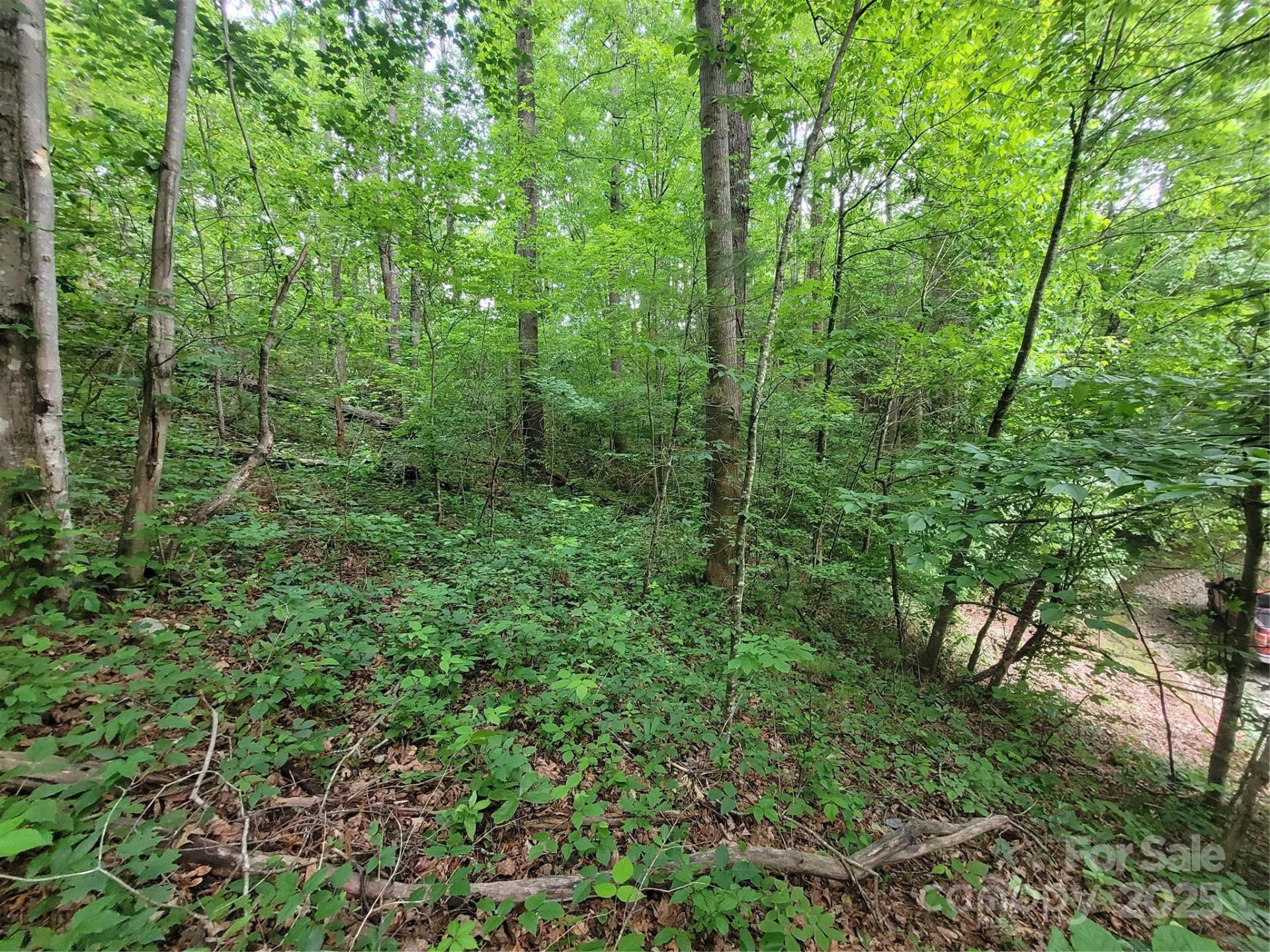 00 Serendipity Lane #111 - Photo 11