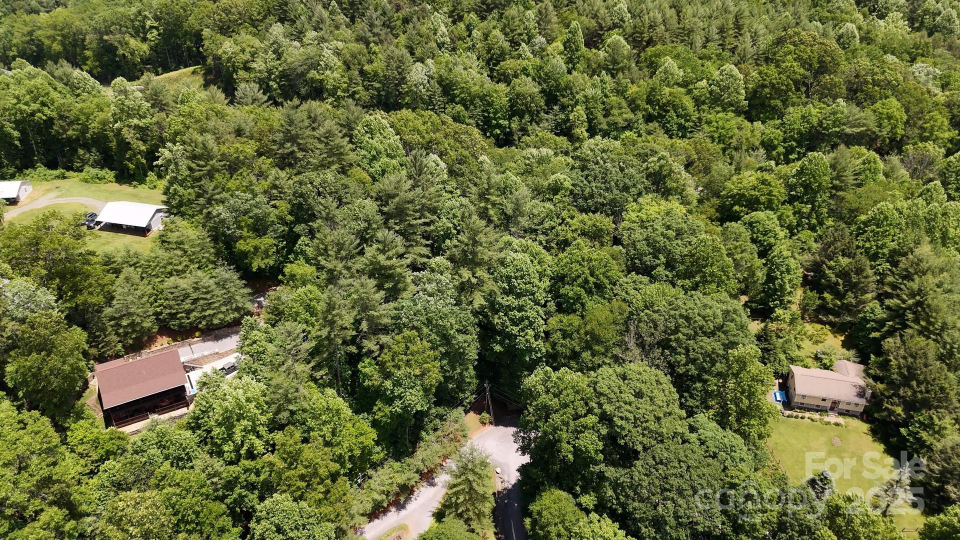 00 Serendipity Lane #111 - Photo 5