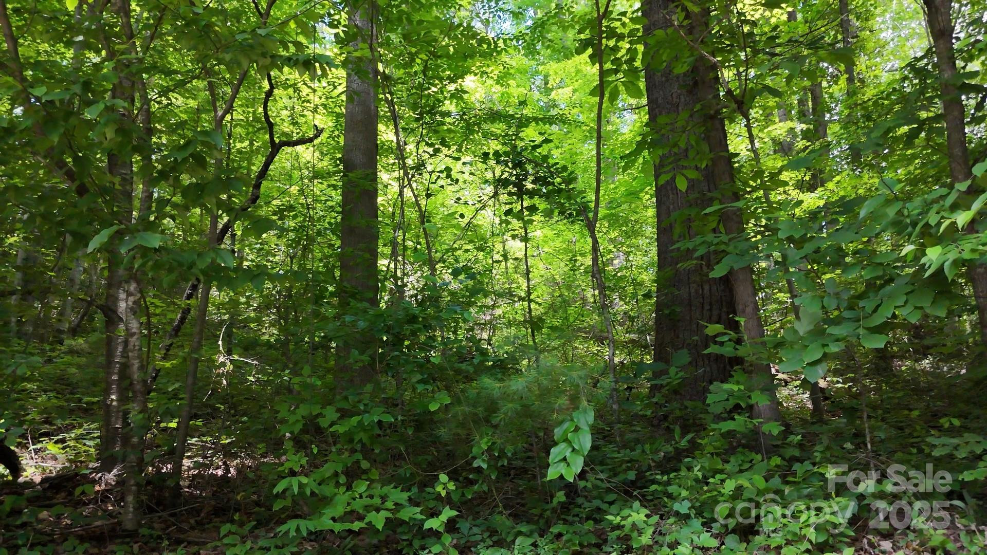 00 Serendipity Lane #111 - Photo 6