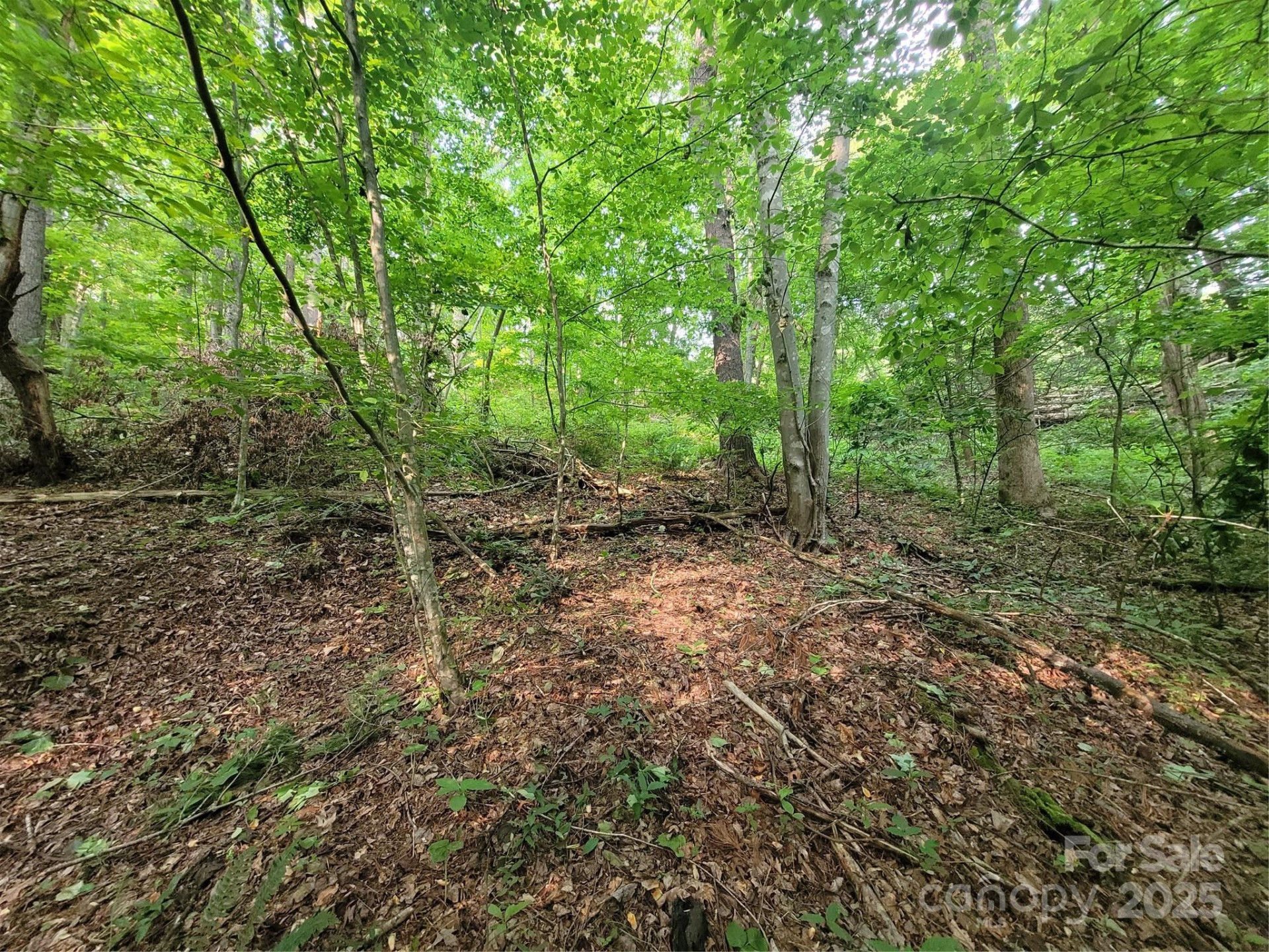 00 Serendipity Lane #111 - Photo 7