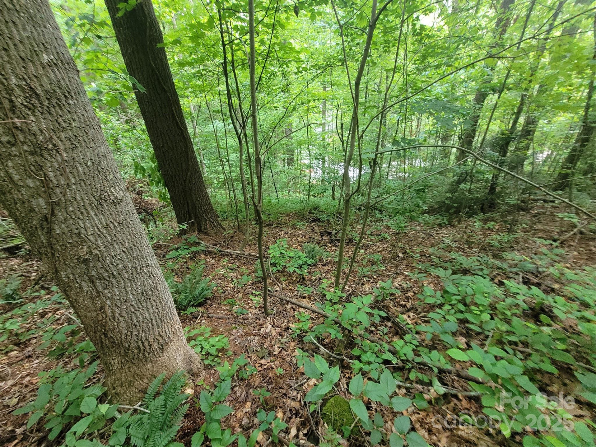 00 Serendipity Lane #111 - Photo 8