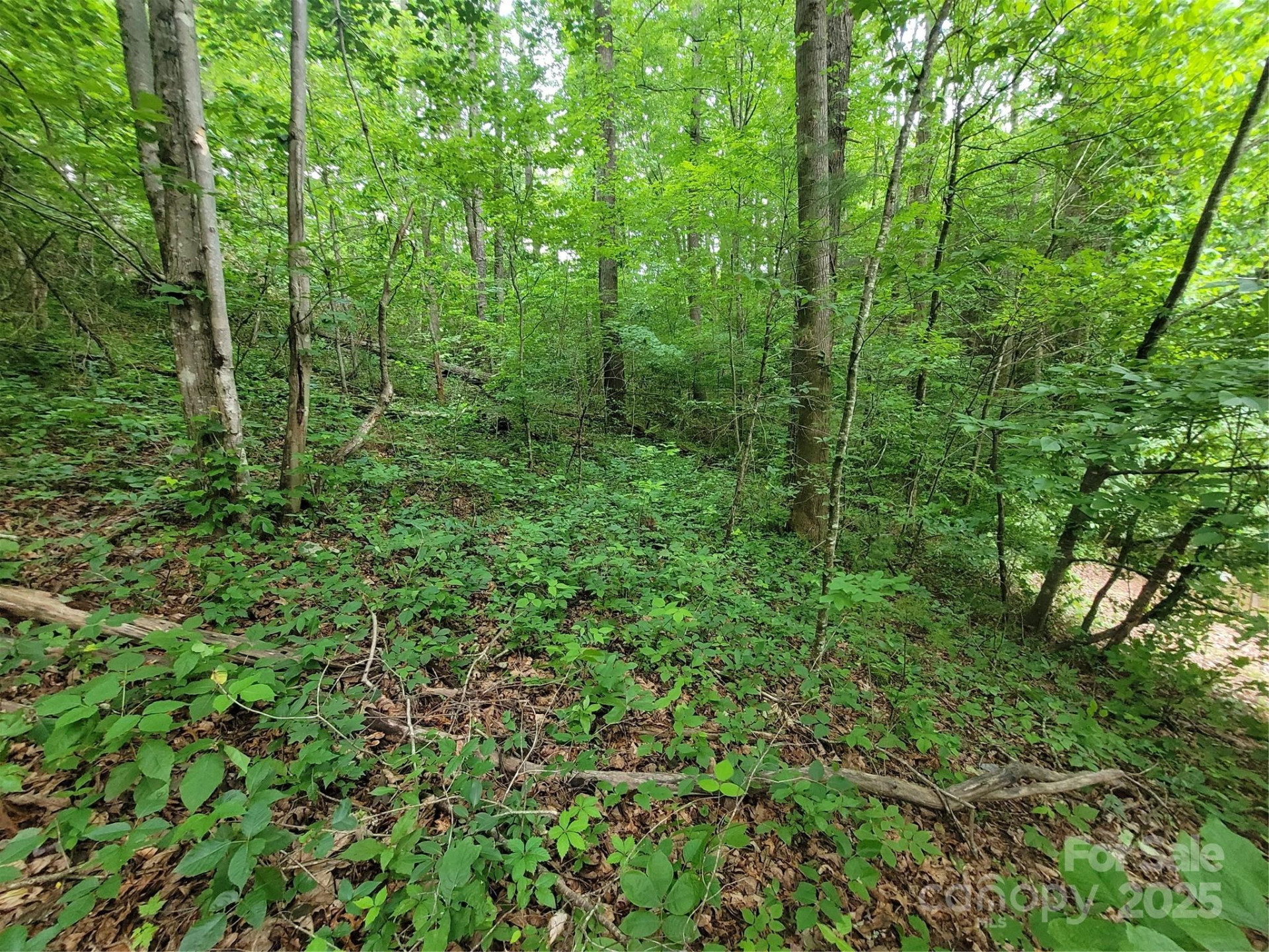 00 Serendipity Lane #111 - Photo 9