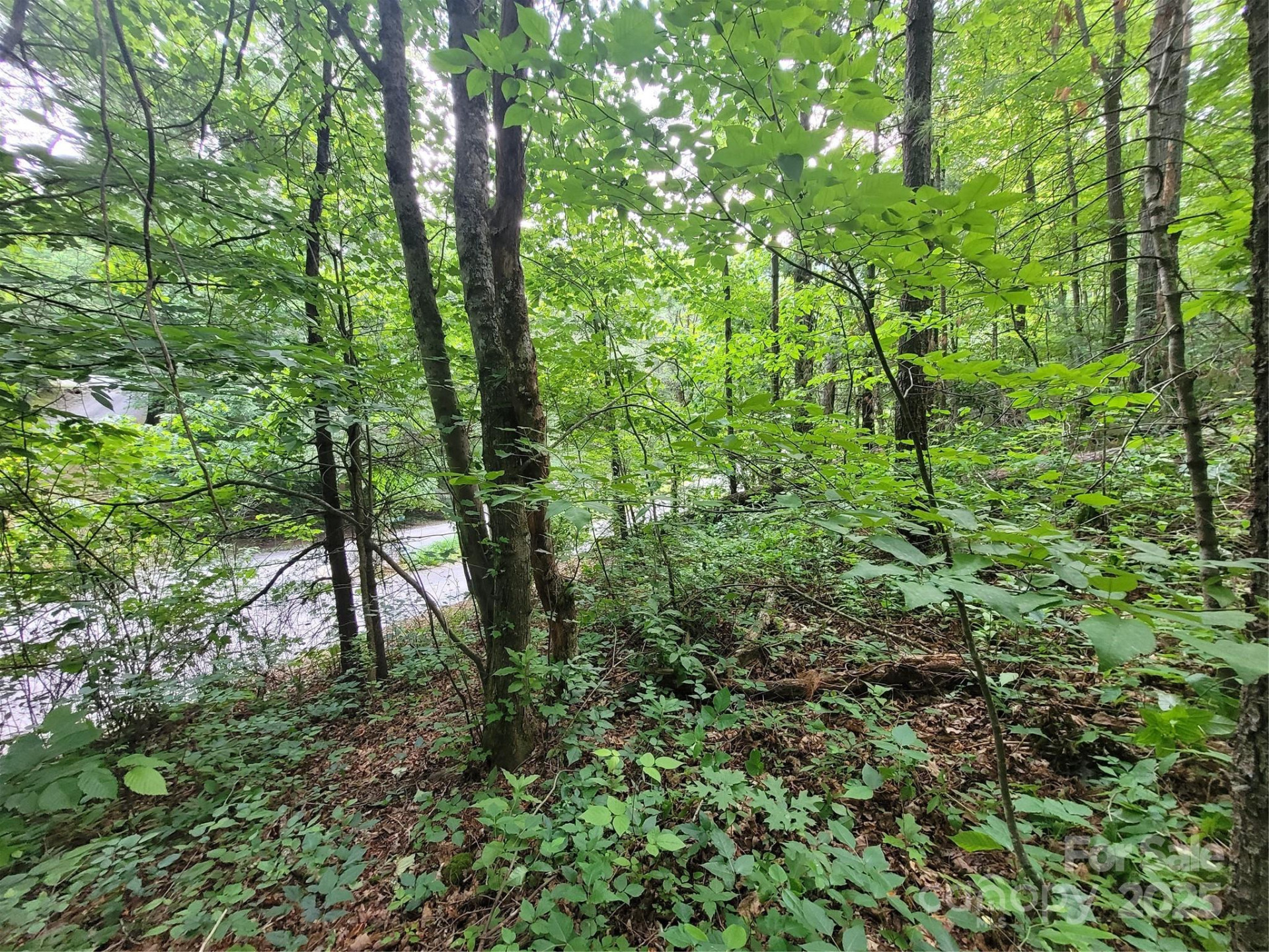 00 Serendipity Lane #111 - Photo 10