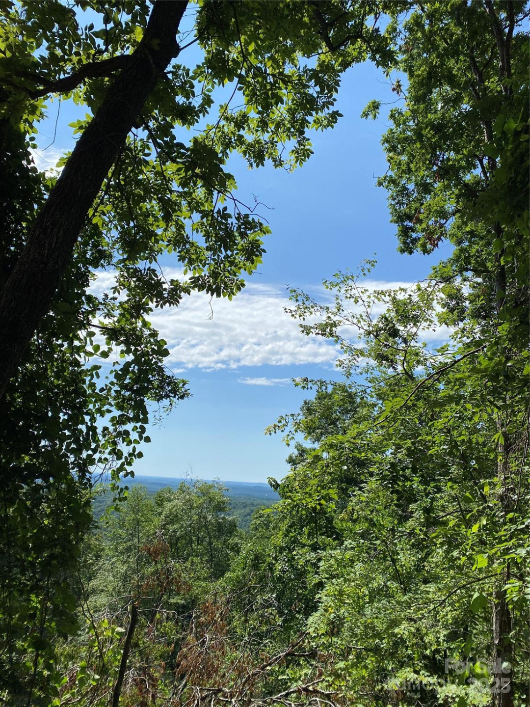 0 Ridgecrest Drive #60