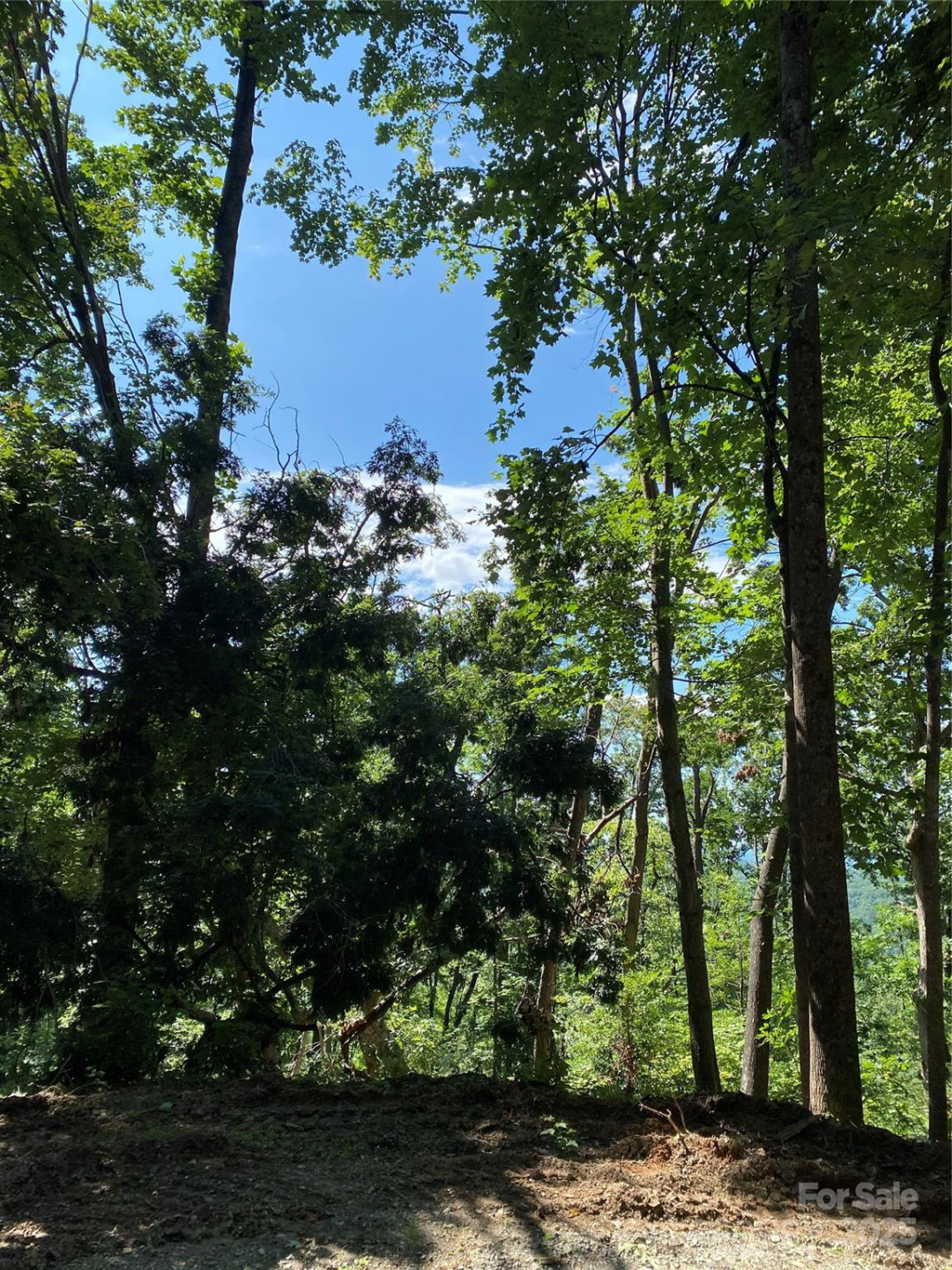 0 Ridgecrest Drive #60 - Photo 2