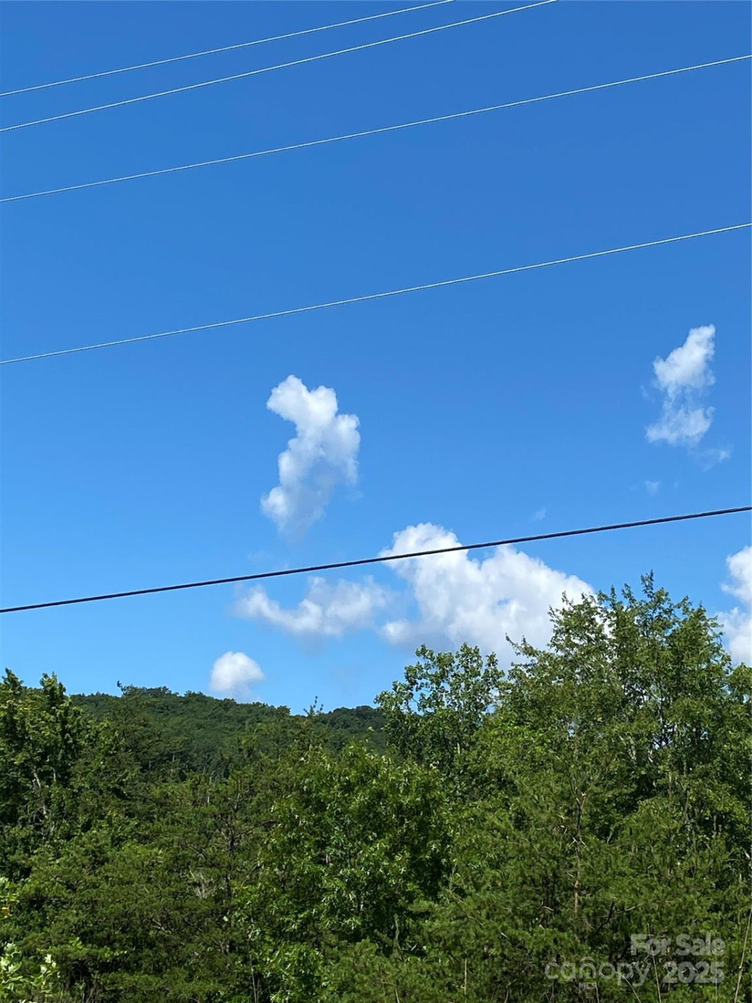 0 Ridgecrest Drive #60 - Photo 11