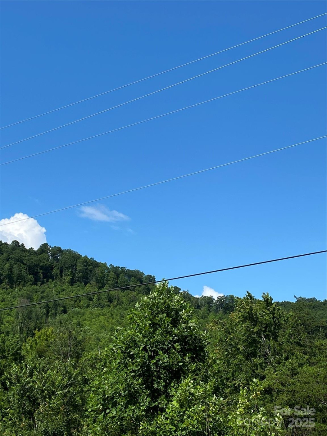 0 Ridgecrest Drive #60 - Photo 12