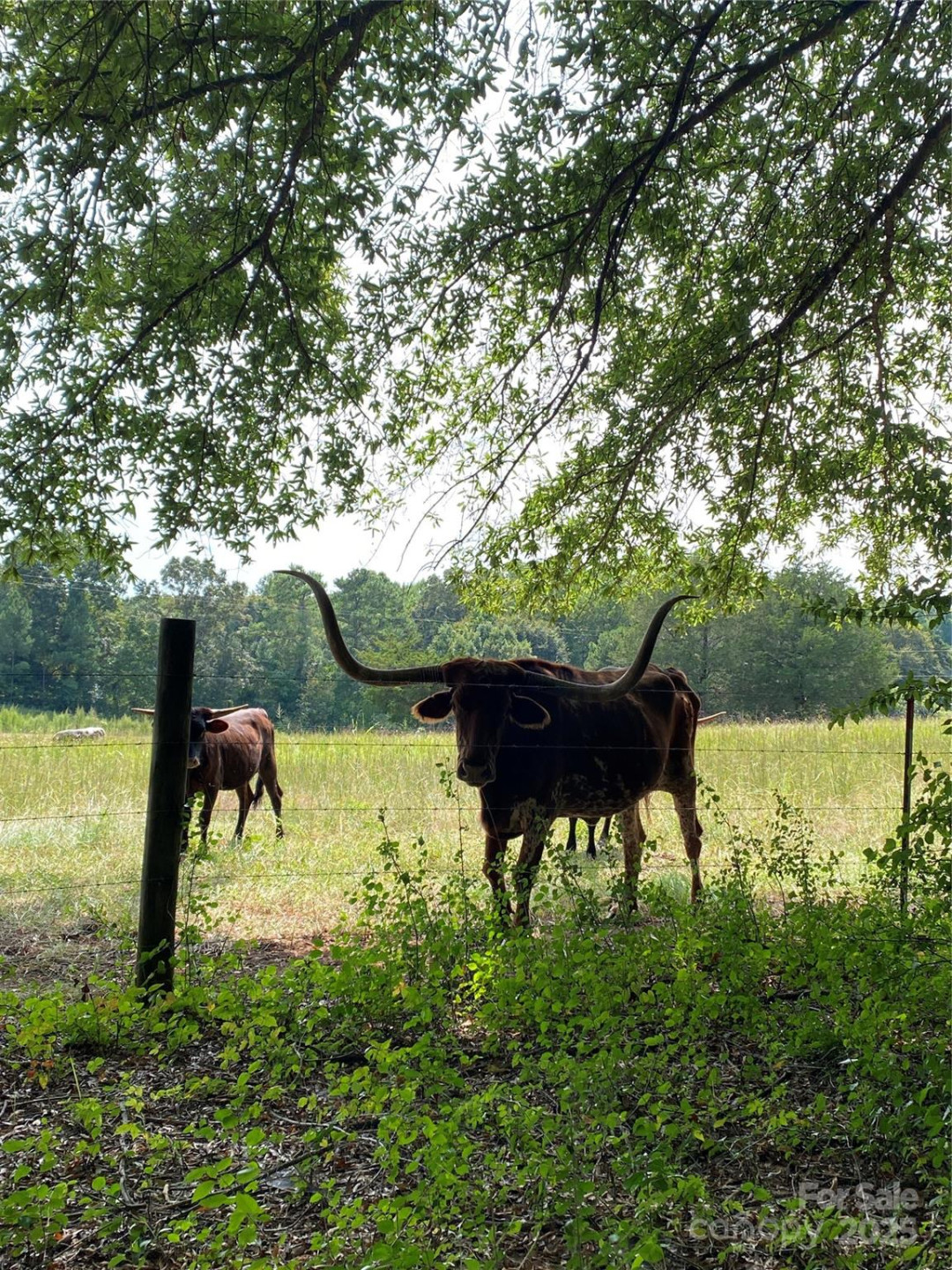 0 Ridgecrest Drive #60 - Photo 15