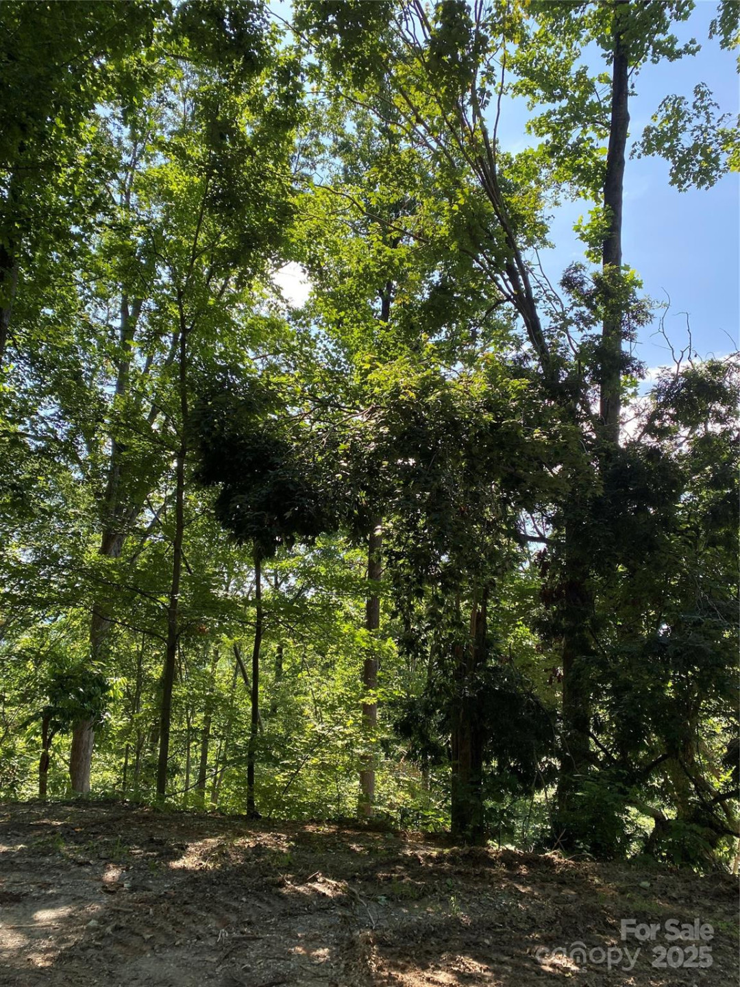 0 Ridgecrest Drive #60 - Photo 3