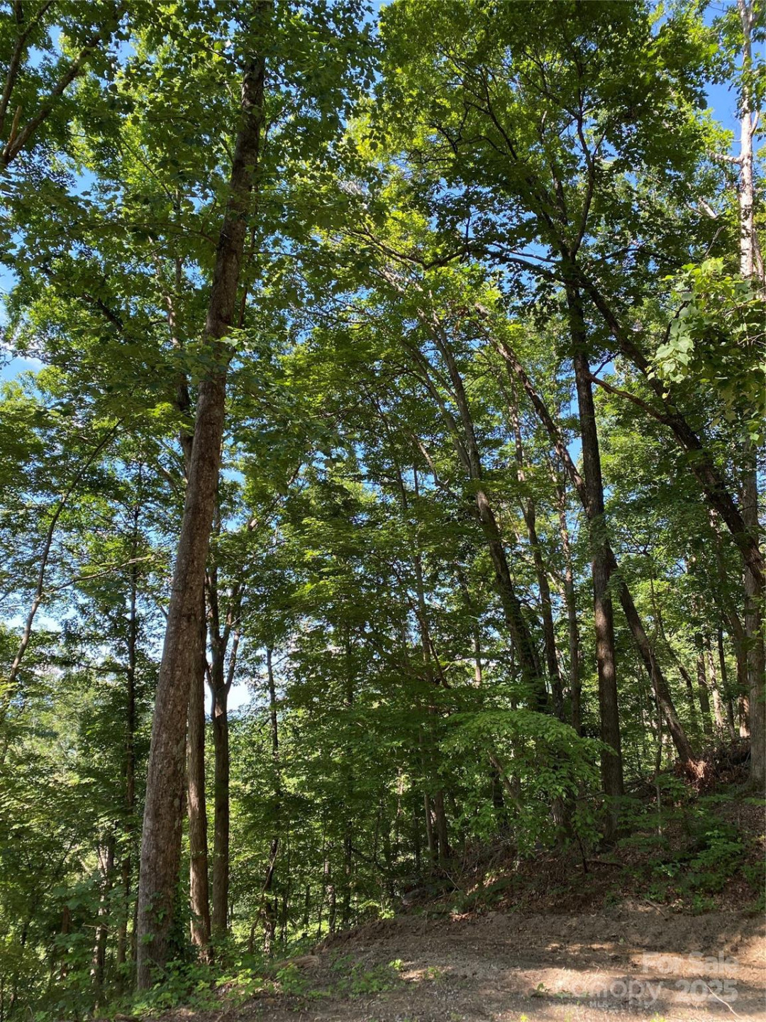 0 Ridgecrest Drive #60 - Photo 4