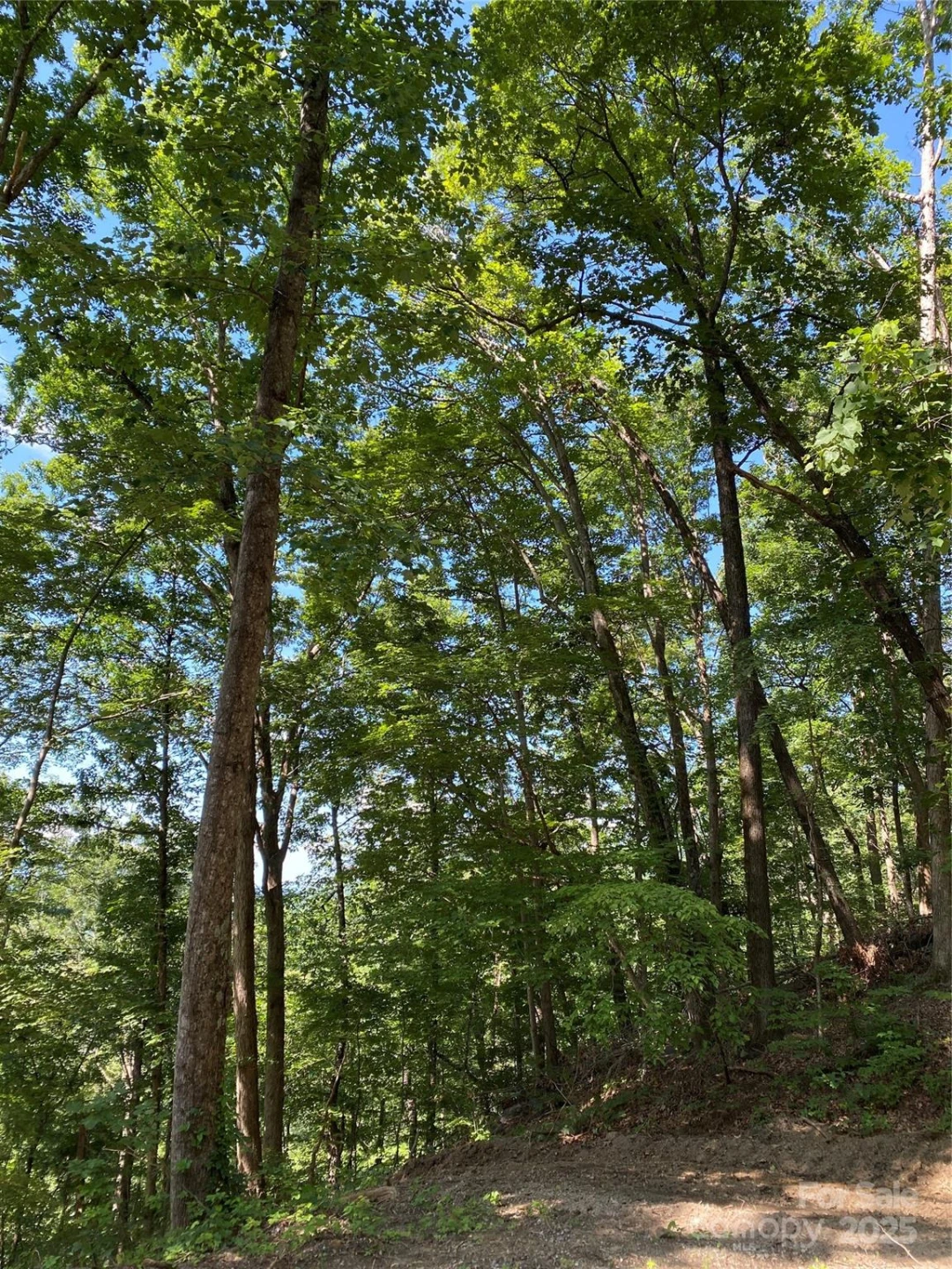 0 Ridgecrest Drive #60 - Photo 4