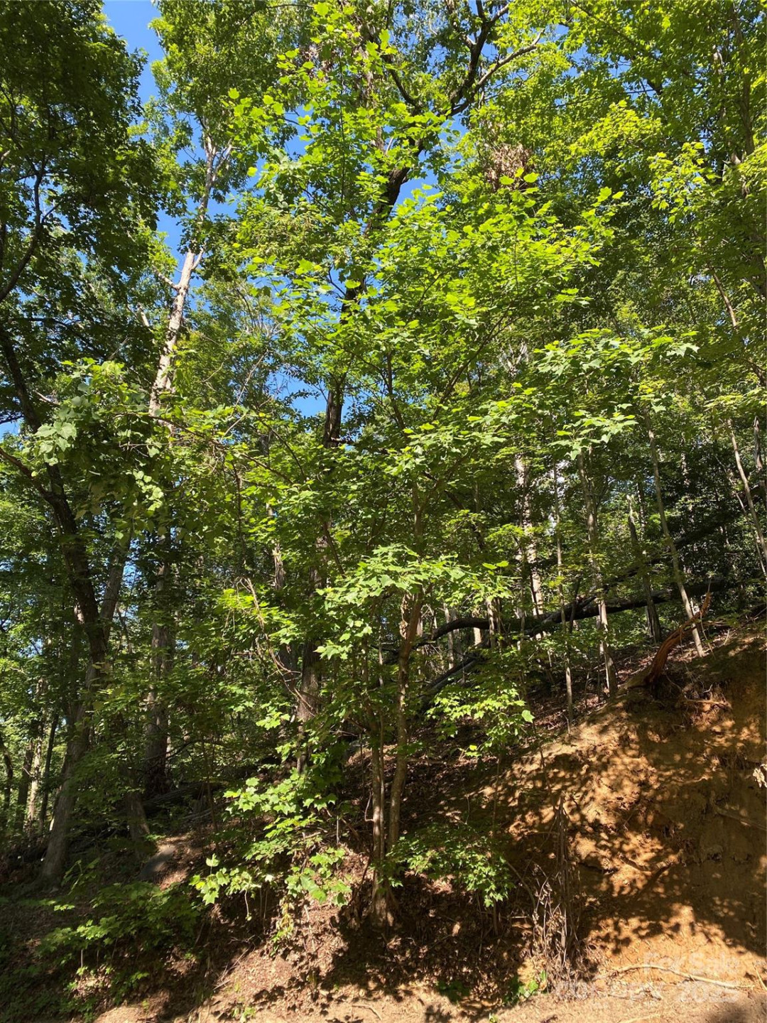 0 Ridgecrest Drive #60 - Photo 5