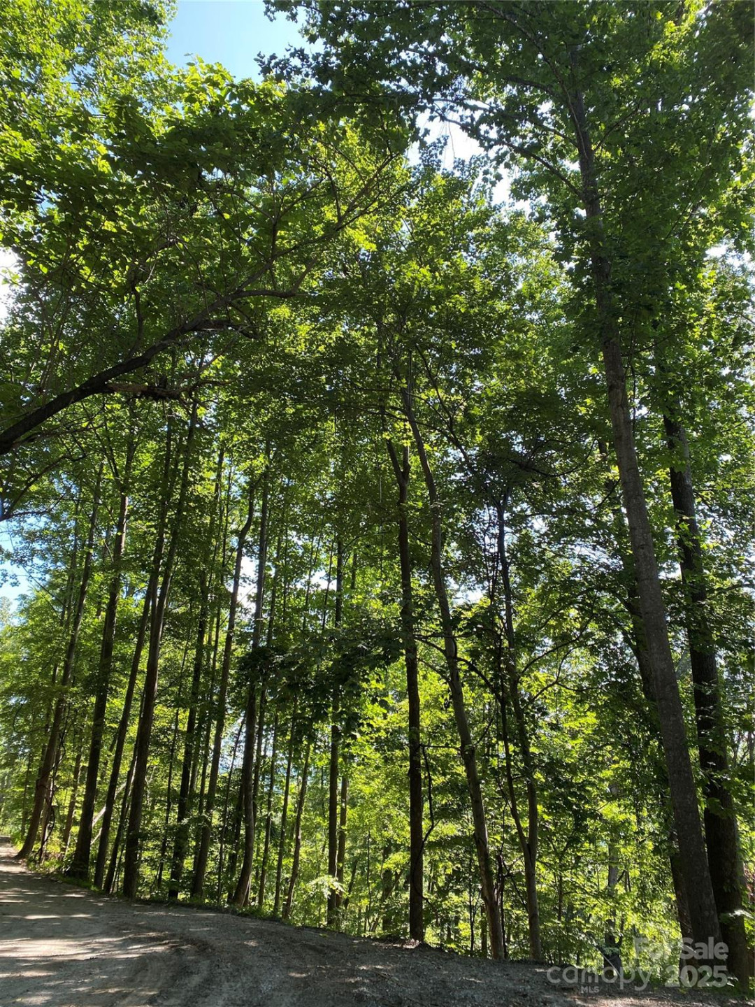 0 Ridgecrest Drive #60 - Photo 6