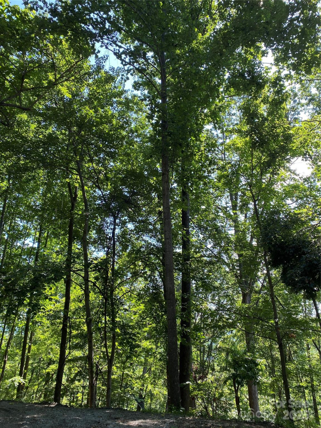 0 Ridgecrest Drive #60 - Photo 7