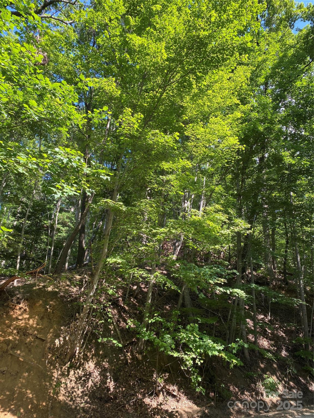 0 Ridgecrest Drive #60 - Photo 9