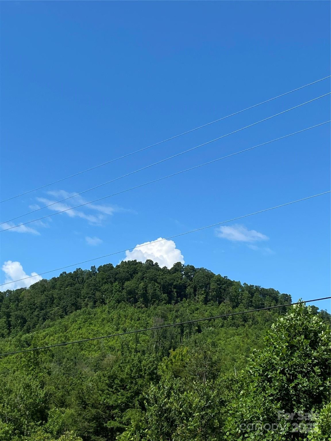 0 Ridgecrest Drive #60 - Photo 10