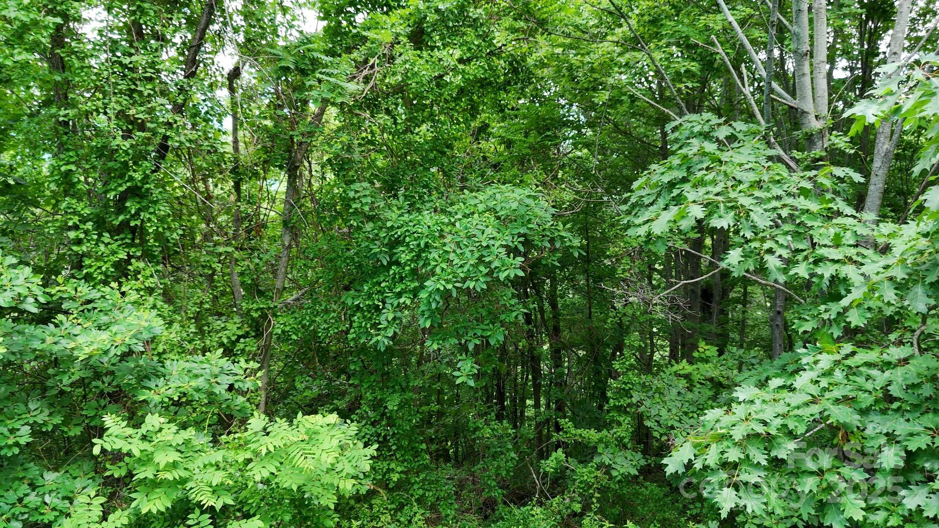 00 Liner Cove Road #1 - Photo 6