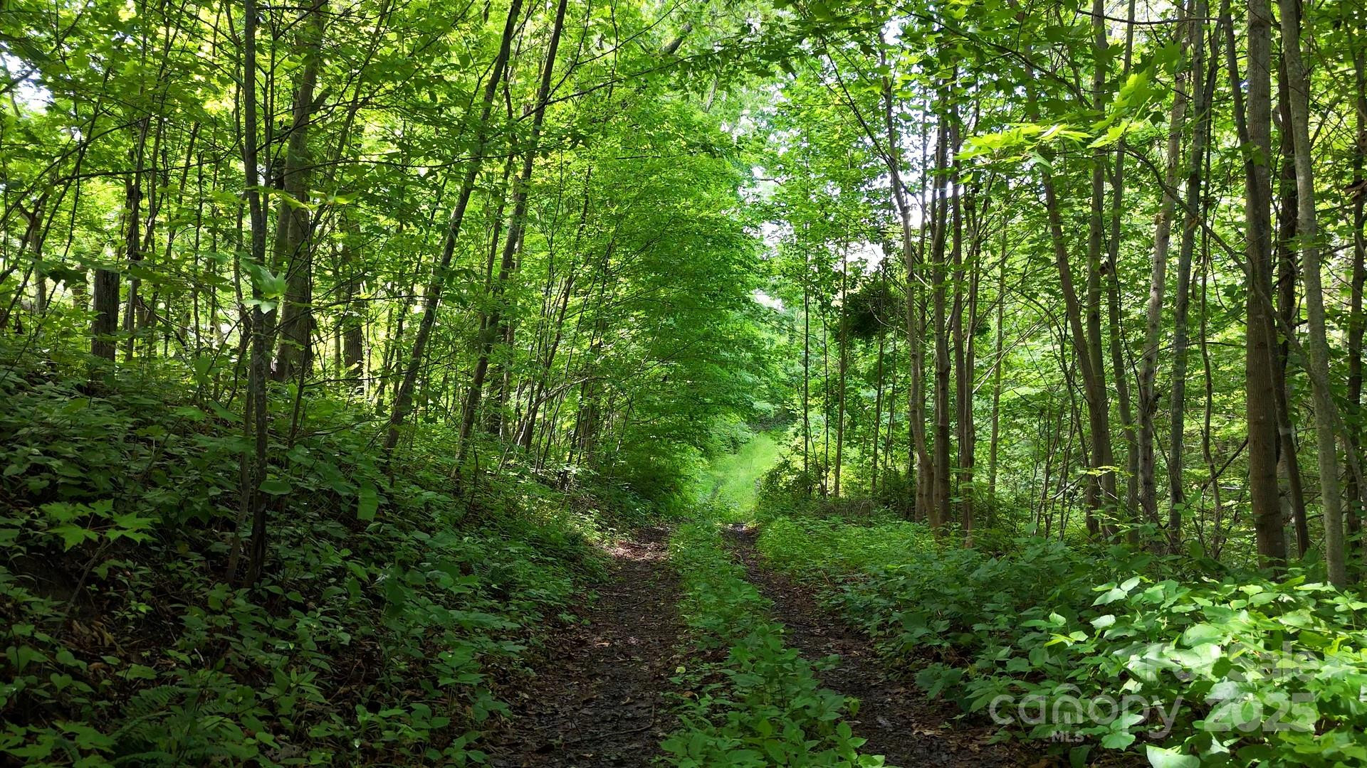 00 Liner Cove Road #2 - Photo 3