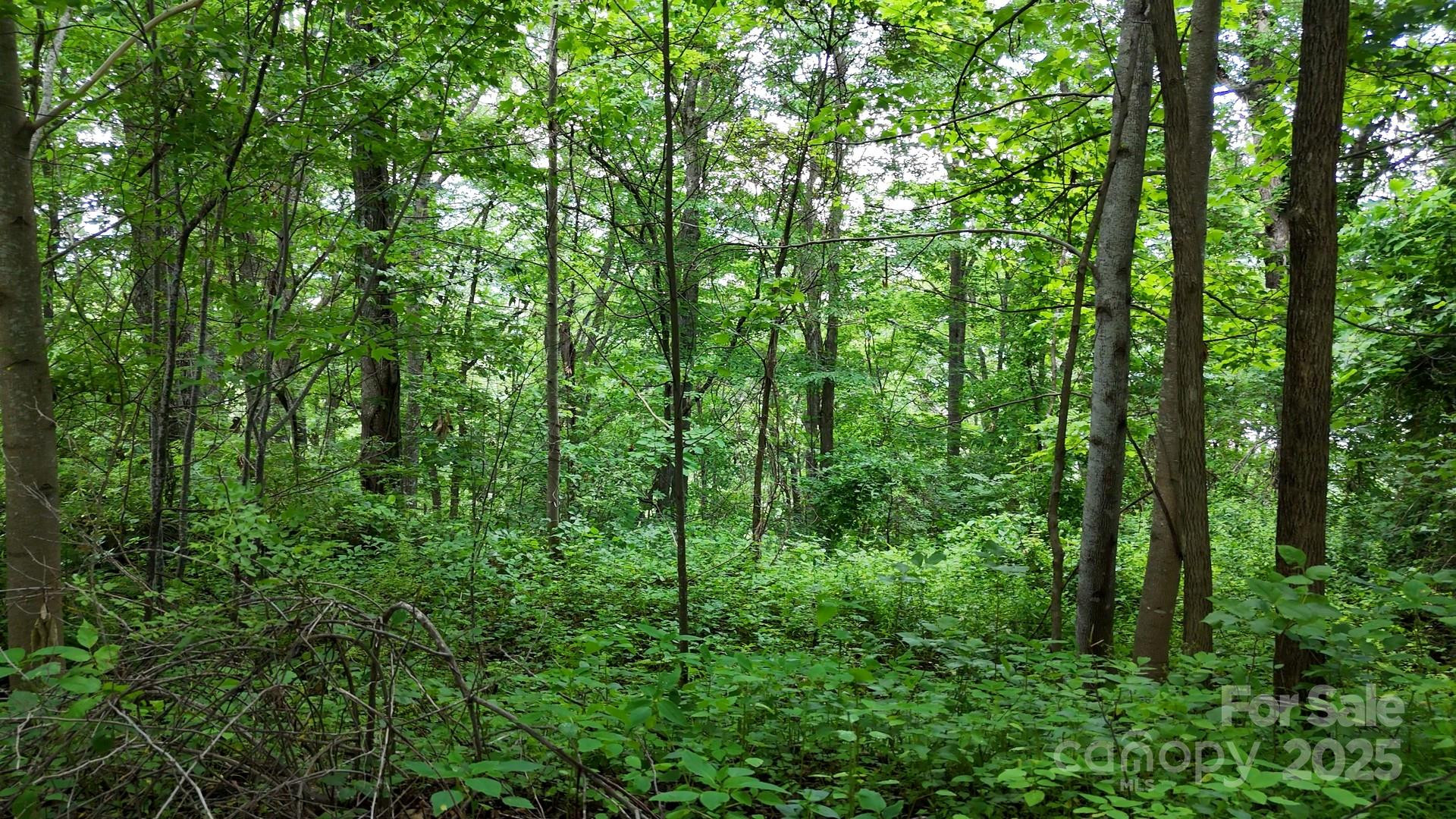 00 Liner Cove Road #2 - Photo 4