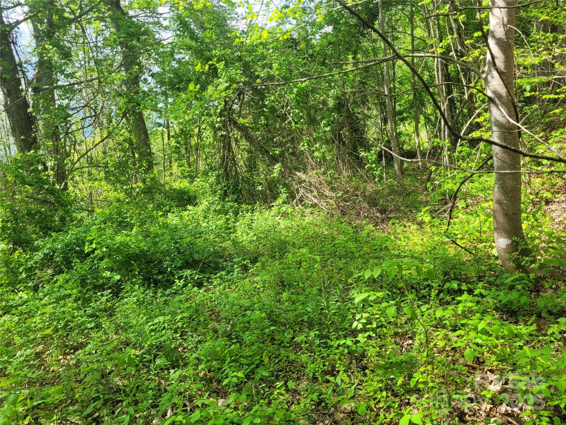 00 Liner Cove Road #2 - Photo 7