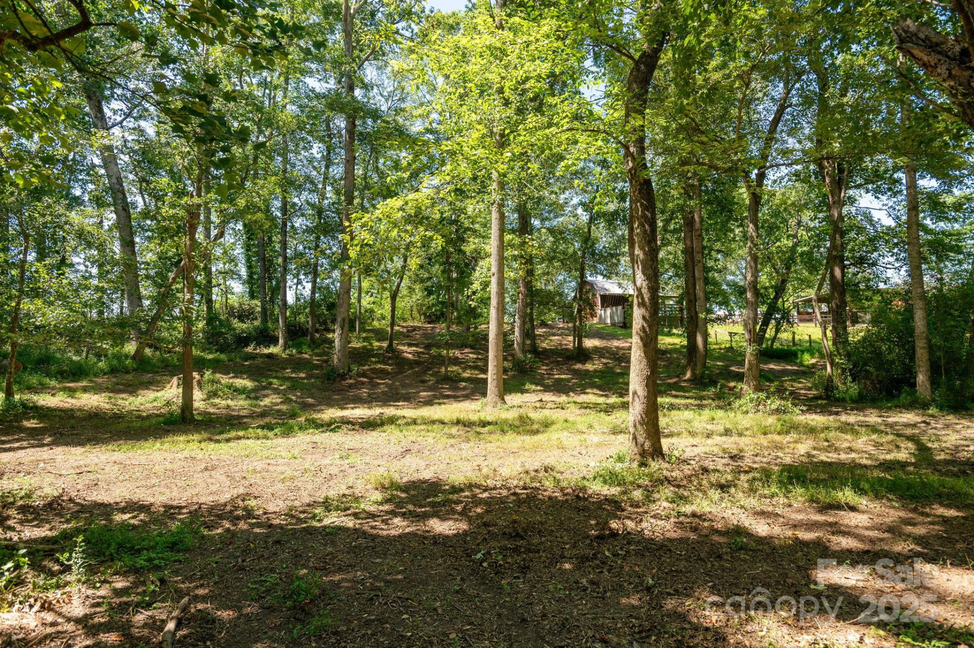 16 School House Road - Photo 42