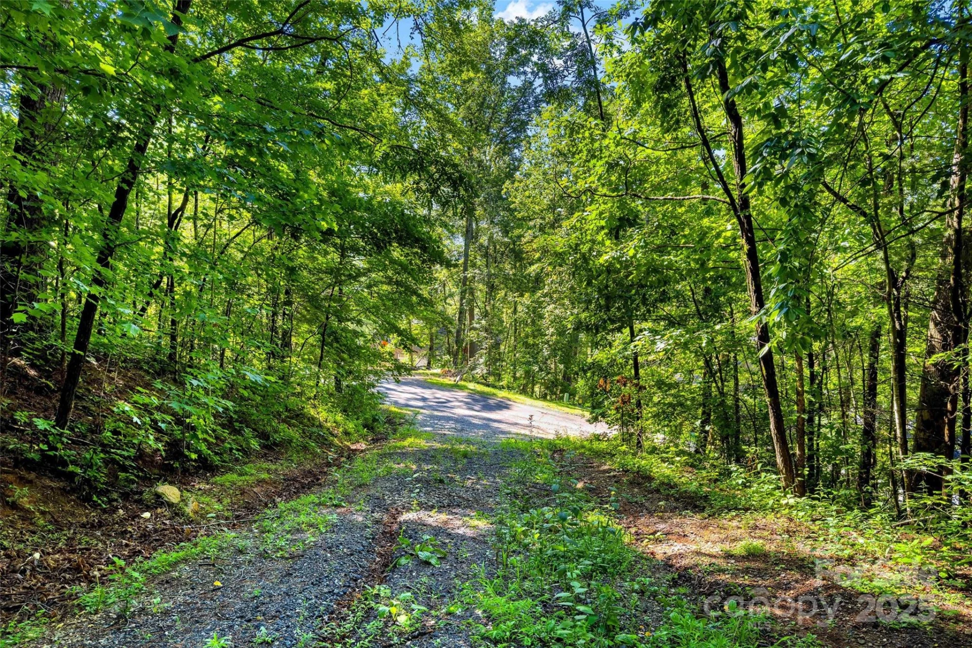 Lot # 77 Hunnicut Spur Road - Photo 2