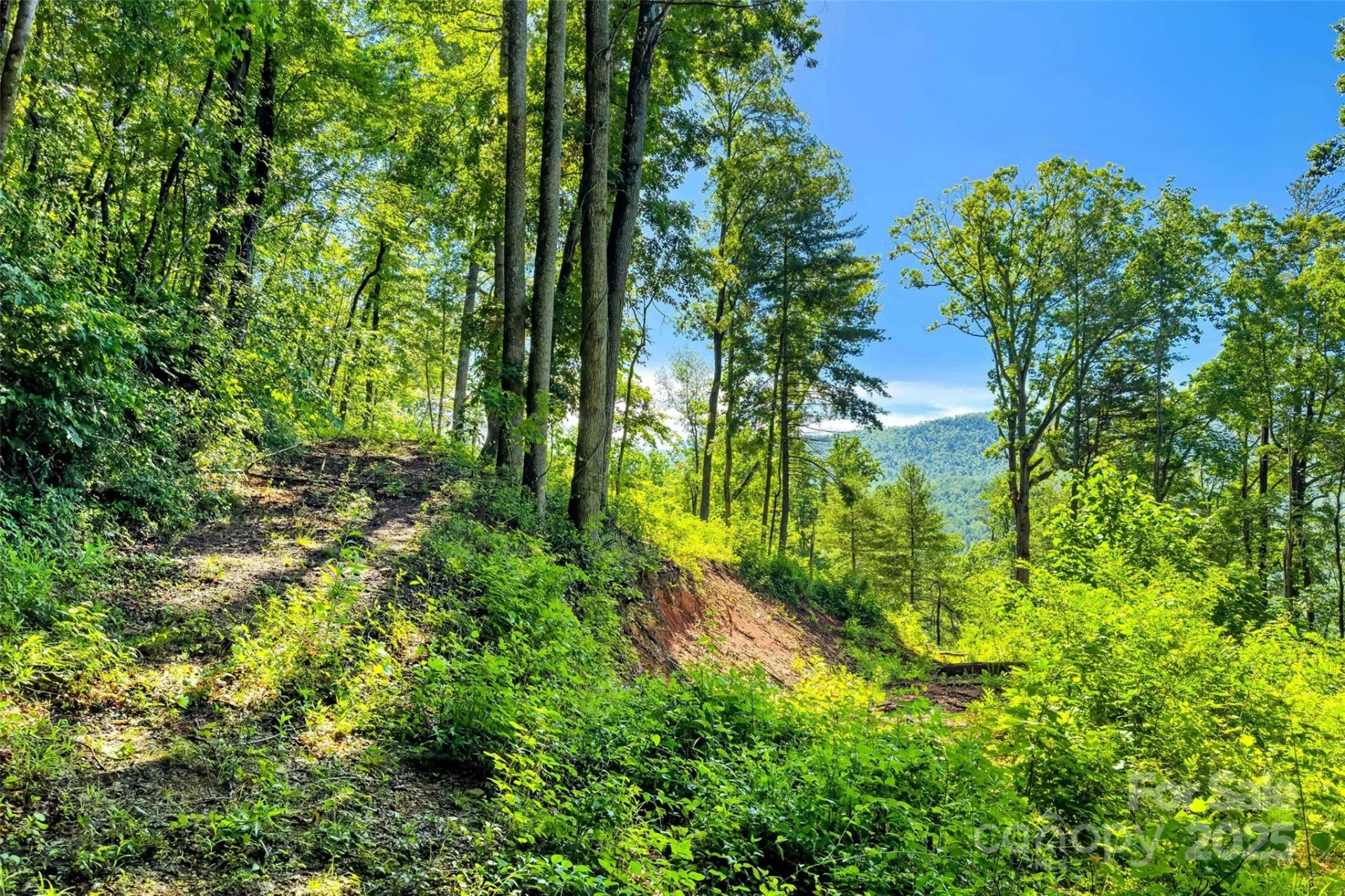 Lot # 77 Hunnicut Spur Road - Photo 11