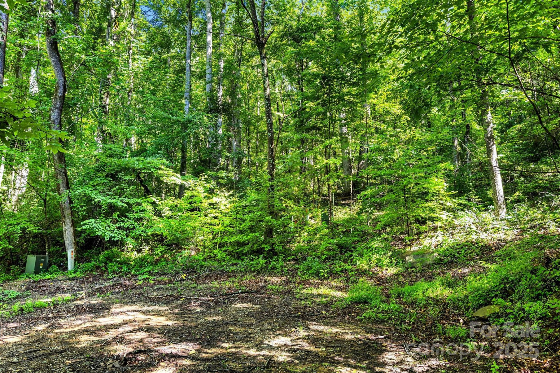 Lot # 77 Hunnicut Spur Road - Photo 12