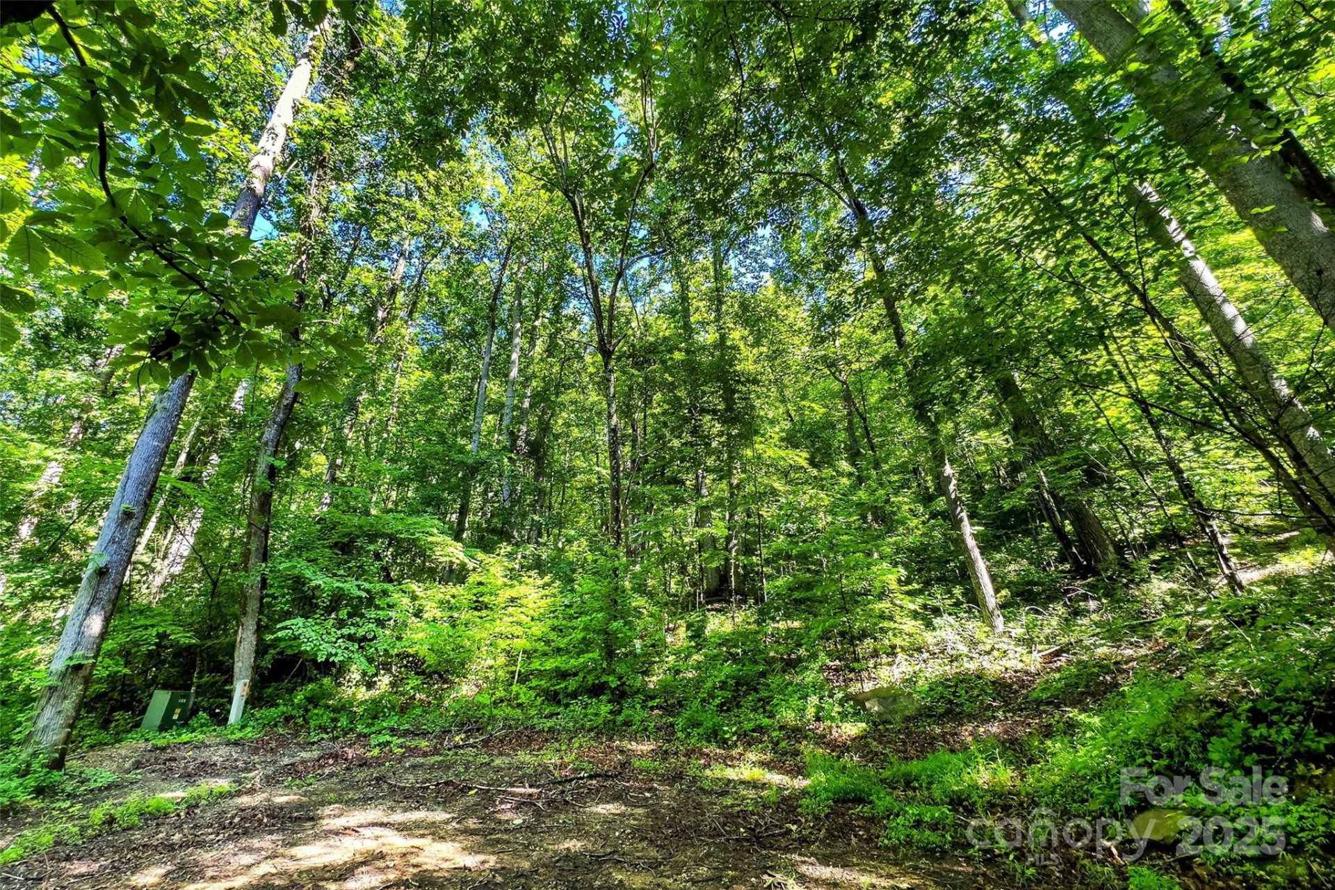 Lot # 77 Hunnicut Spur Road - Photo 13