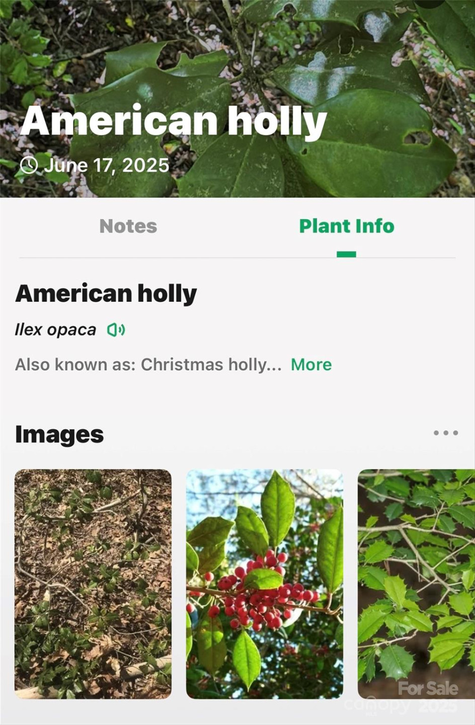 Lot # 77 Hunnicut Spur Road - Photo 22