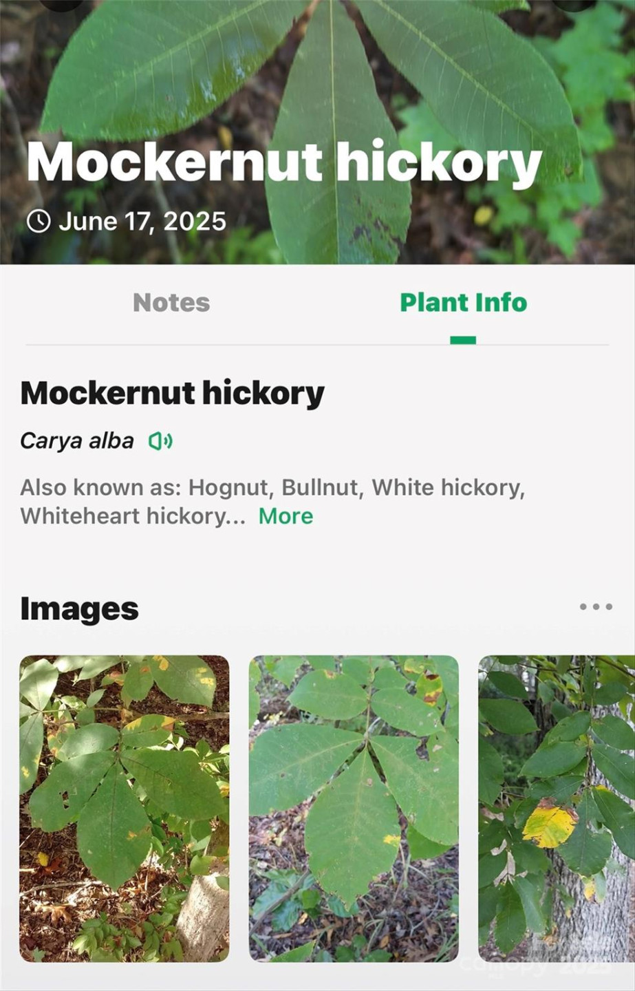 Lot # 77 Hunnicut Spur Road - Photo 24