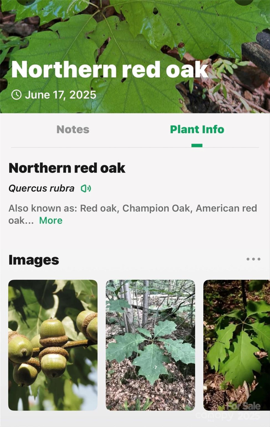 Lot # 77 Hunnicut Spur Road - Photo 26