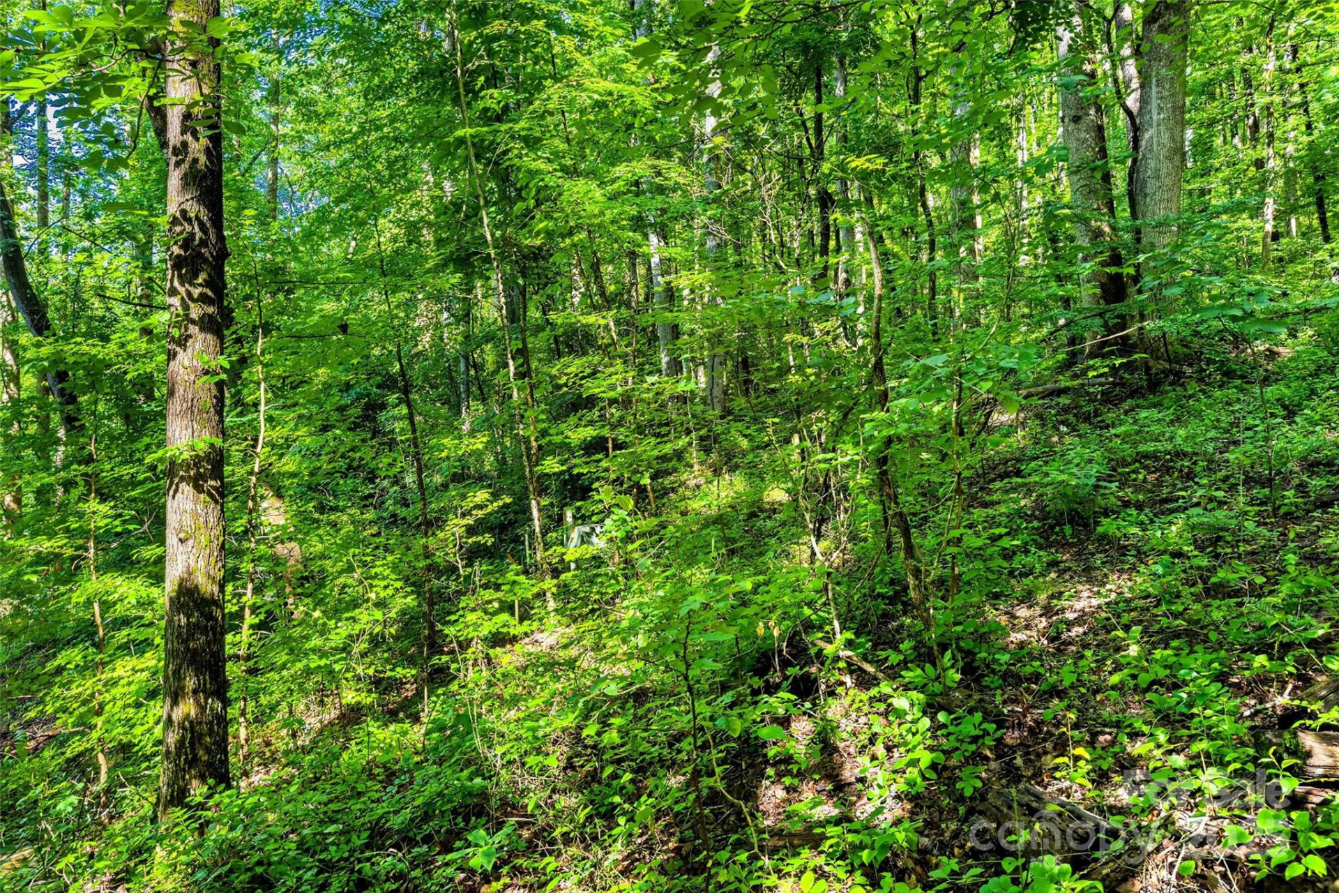 Lot # 77 Hunnicut Spur Road - Photo 9