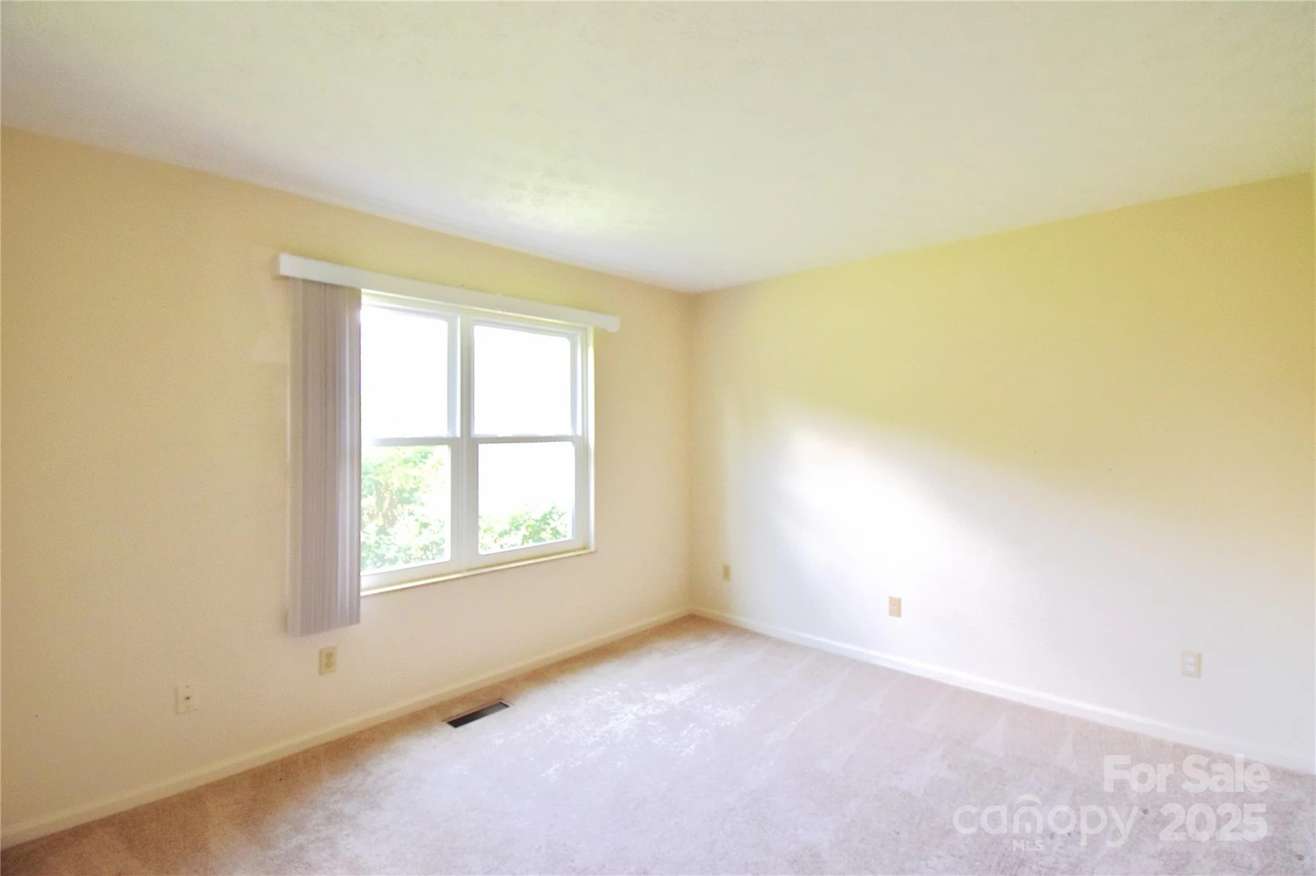 35 Capri Lane #11-C - Photo 15
