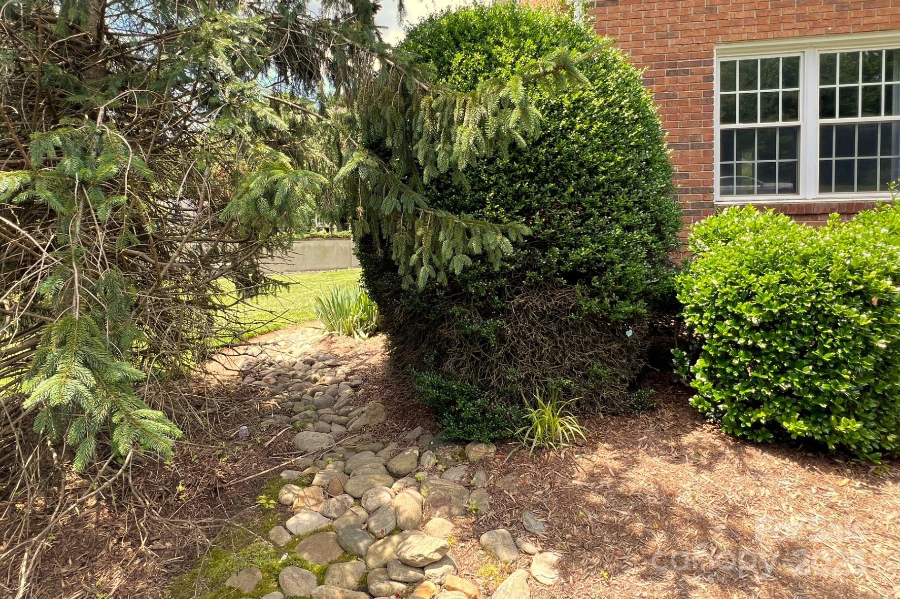 35 Capri Lane #11-C - Photo 19